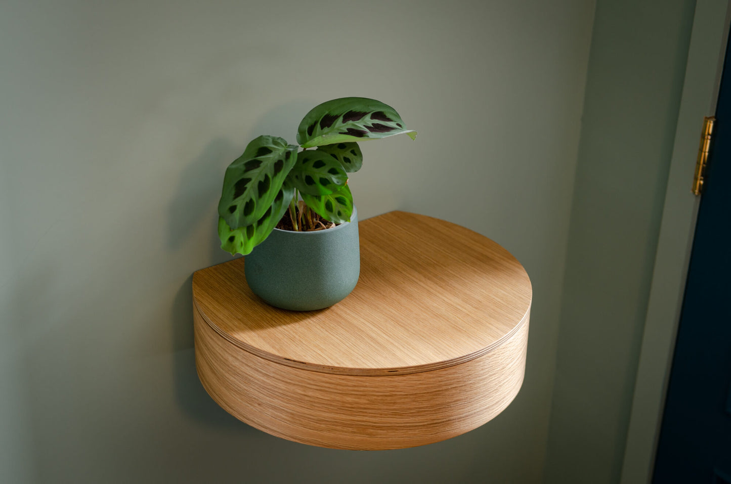 AIR MONO | Oak - single wall mounted circular drawer/shelf