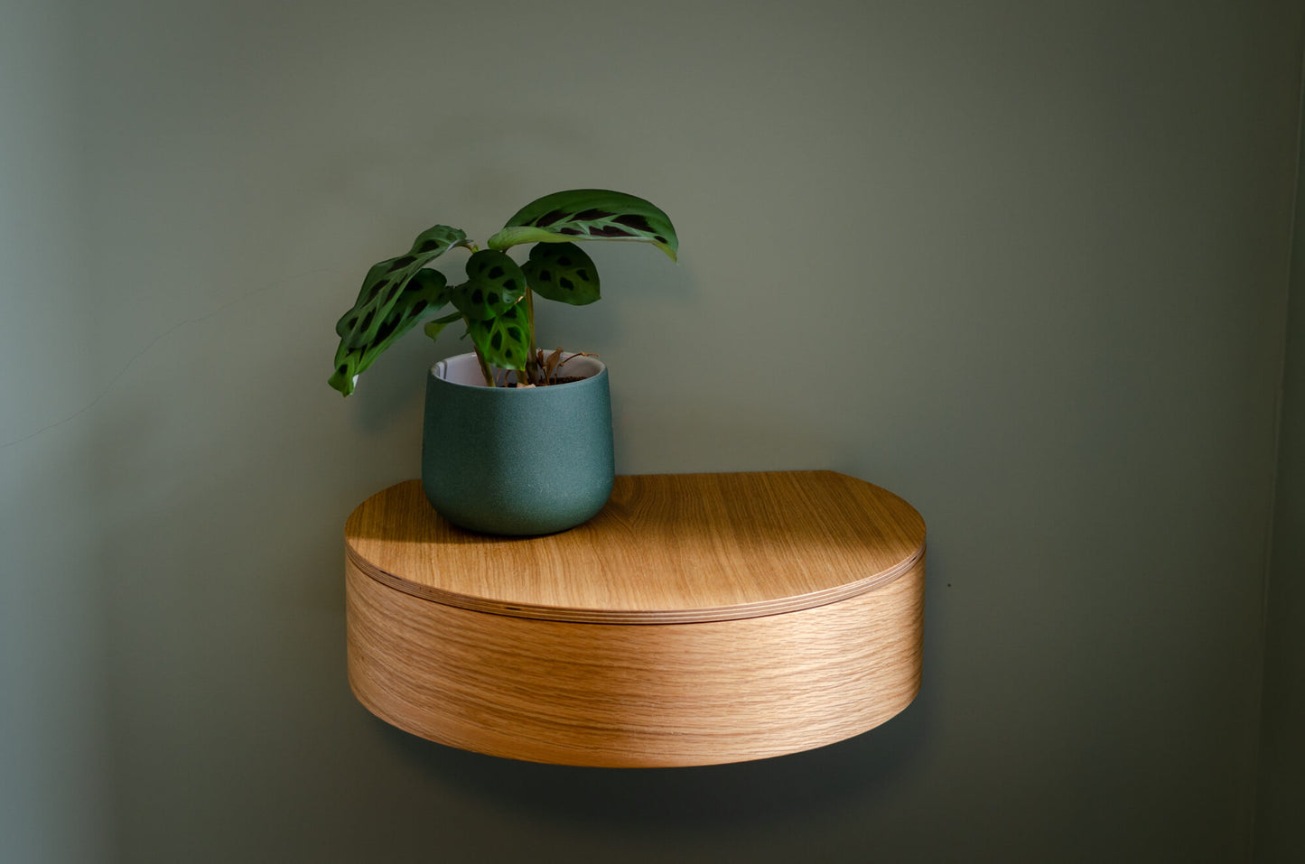 AIR MONO | Oak - single wall mounted circular drawer/shelf