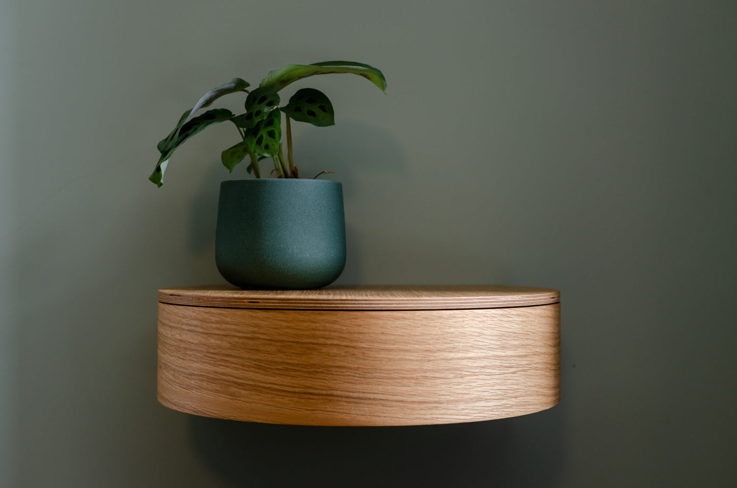 AIR MONO | Oak - single wall mounted circular drawer/shelf